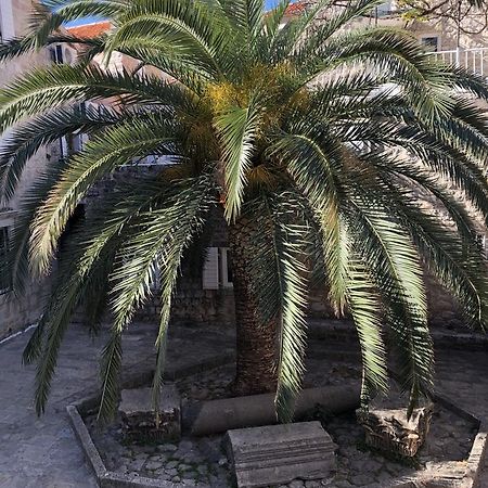 Apartment Viva Budva Bagian luar foto